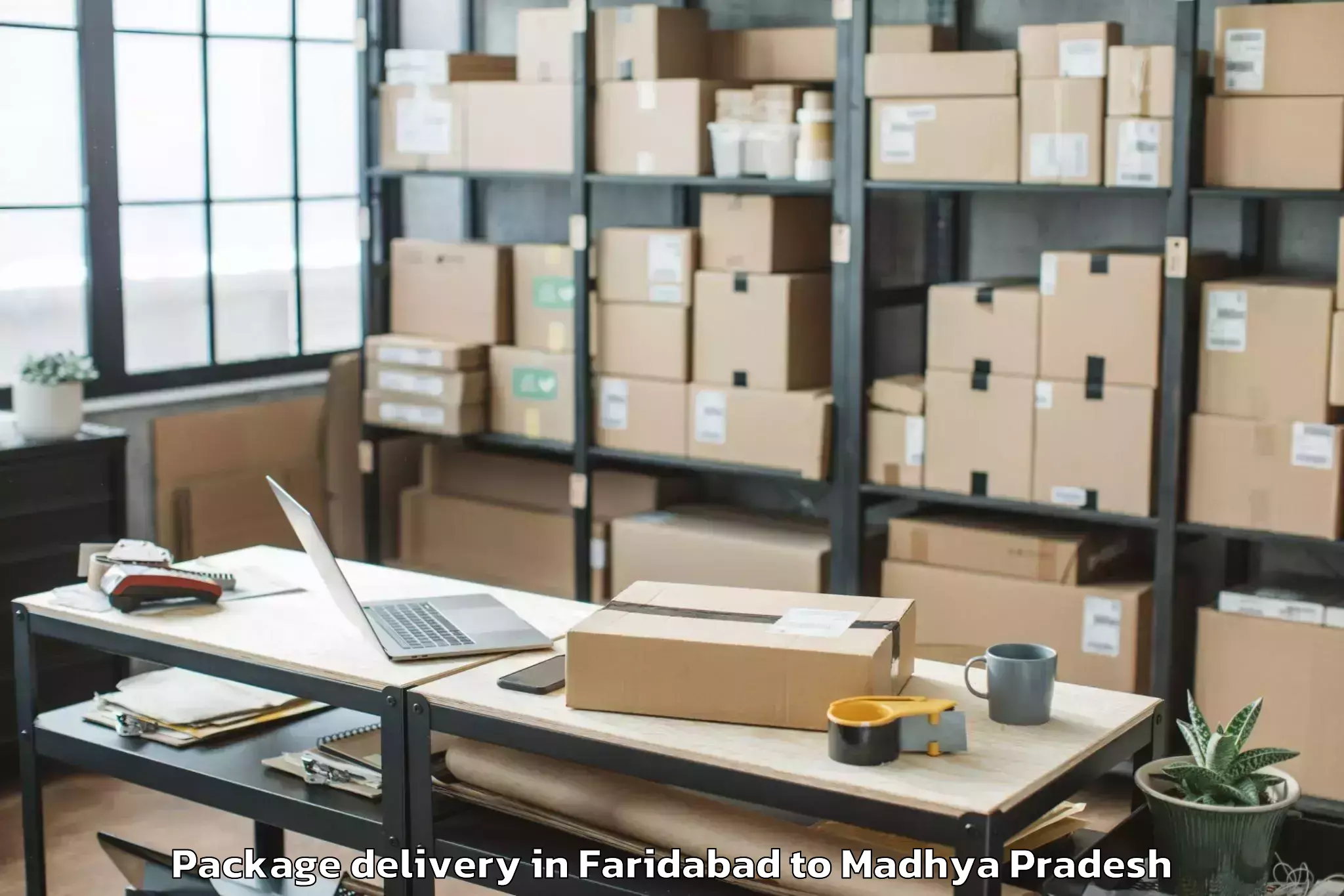 Book Your Faridabad to Thikri Package Delivery Today